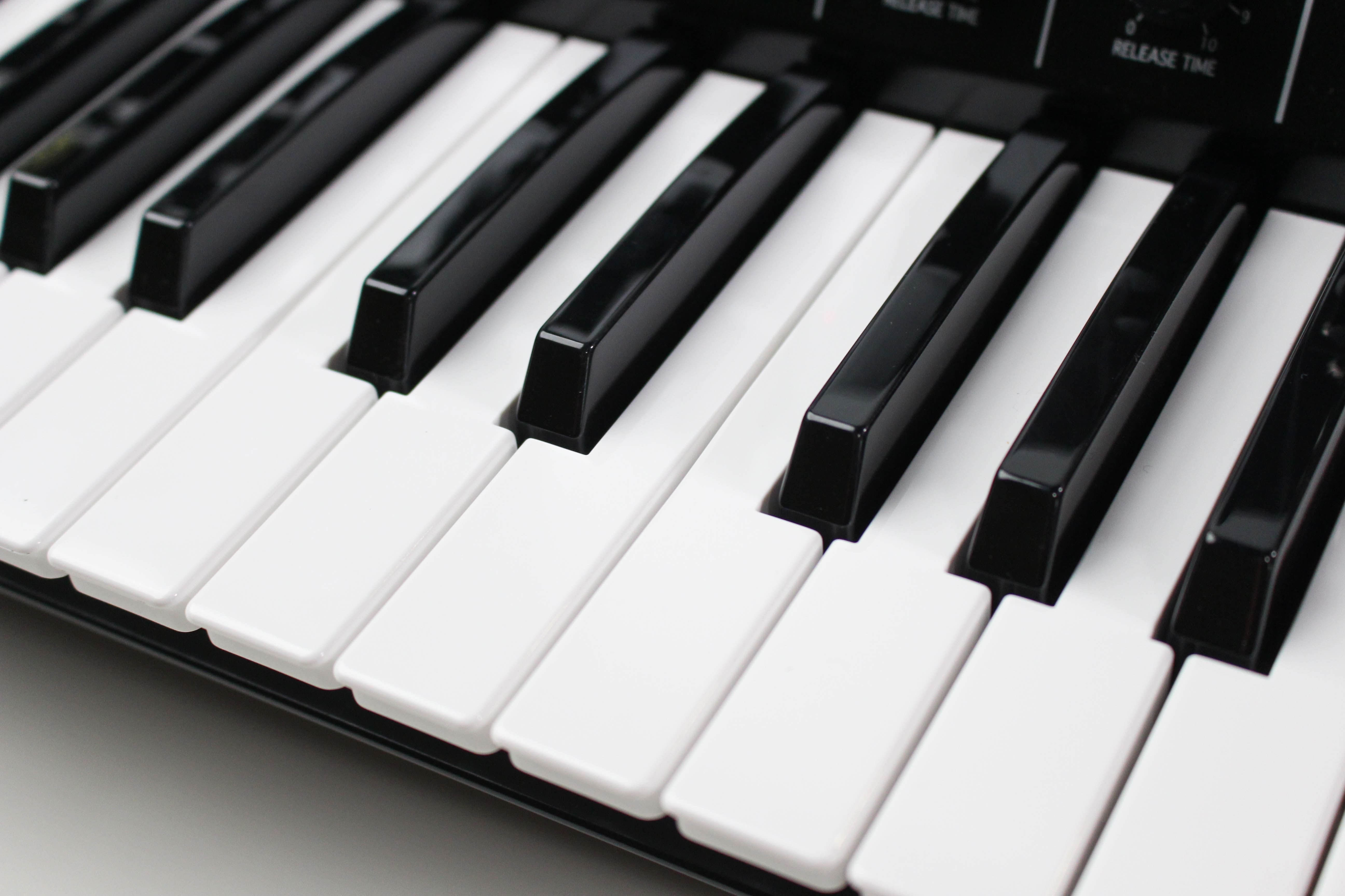 Korg MS-20 FS, black
