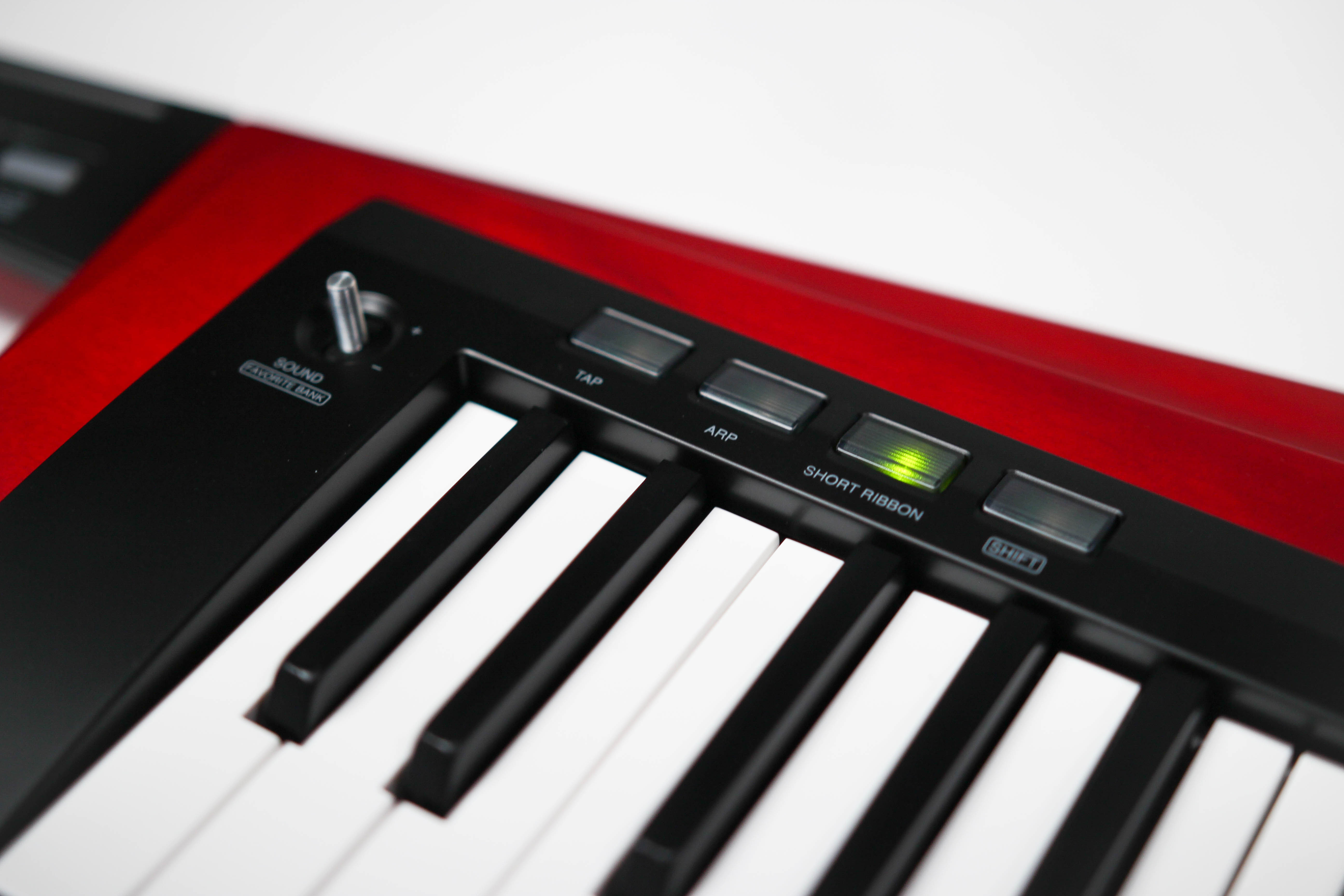 Korg RK-100S 2, Red