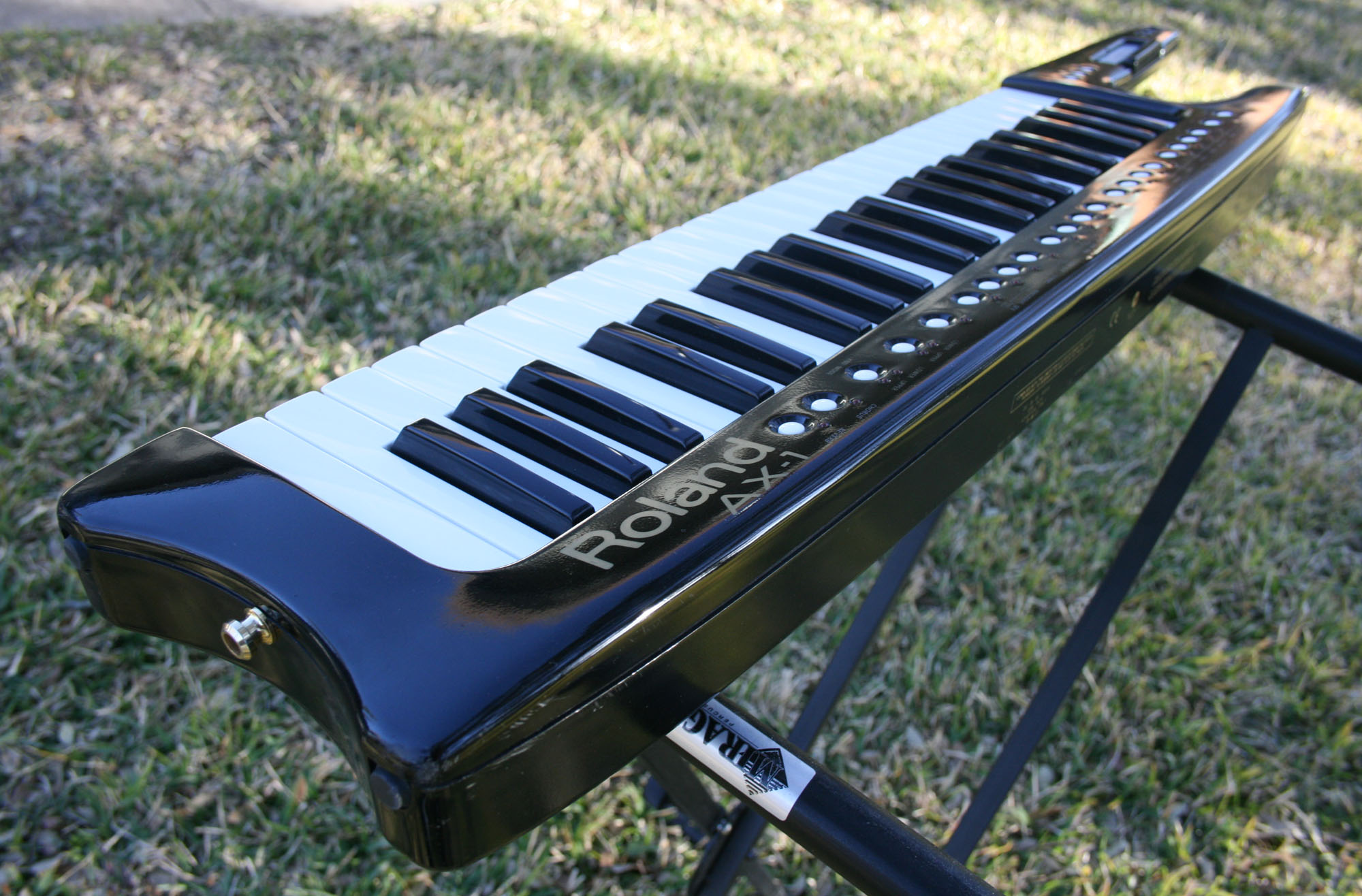 Roland AX1 photo gallery Syntaur